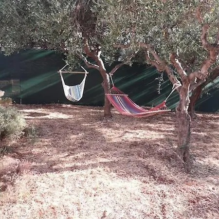 Grandpa's House *