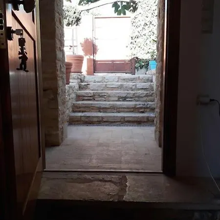 Grandpa's House 度假居