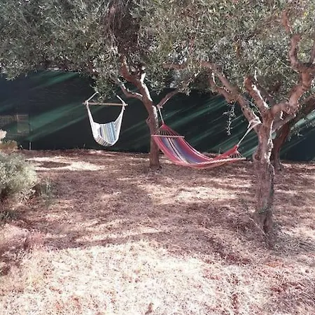 Grandpa's House *